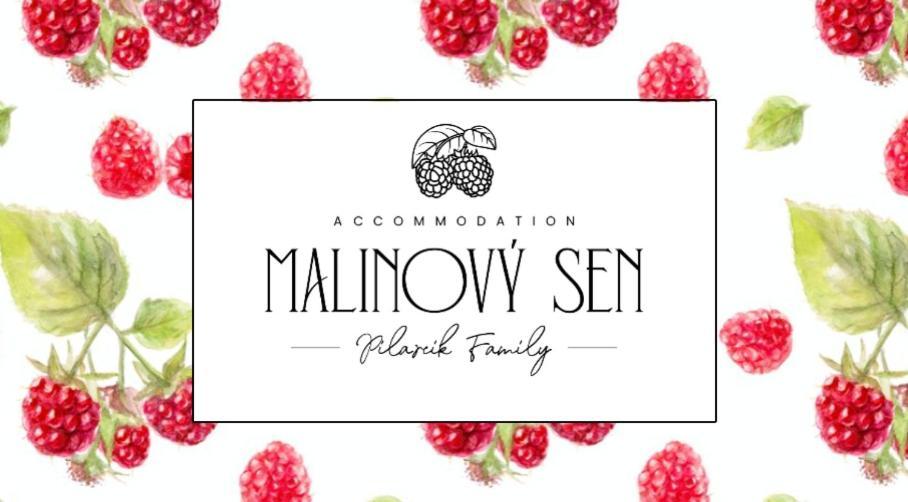 Nocľah s raňajkami Malinovy Sen